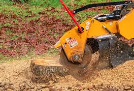 Best Lawn Maintenance Plans  in Wingdale, NY